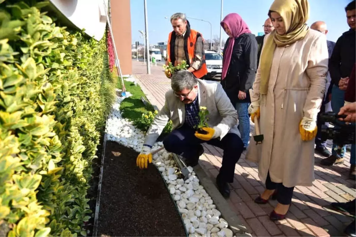 Bilecikliler Günü'nde 11 Bin 111 Çiçek Toprakla Buluştu