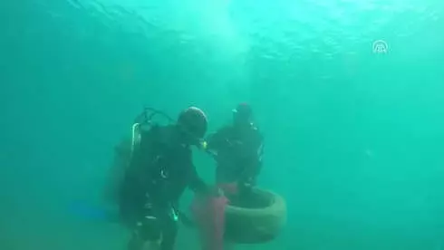 Denizden Küvet de Çıktı, Televizyon Da