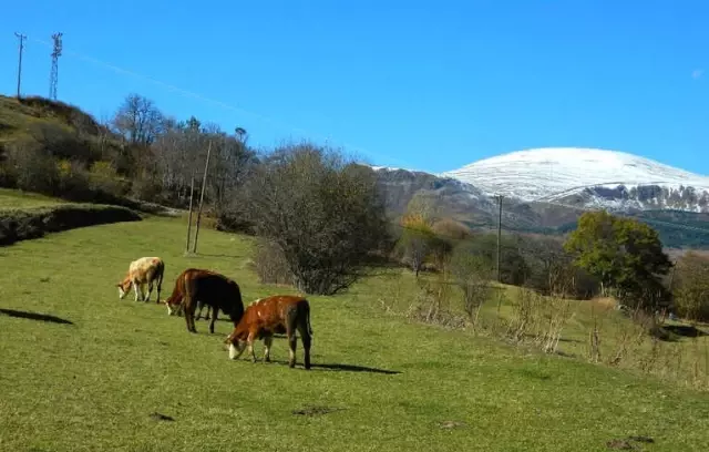 Doğu'da Soğuk Hava