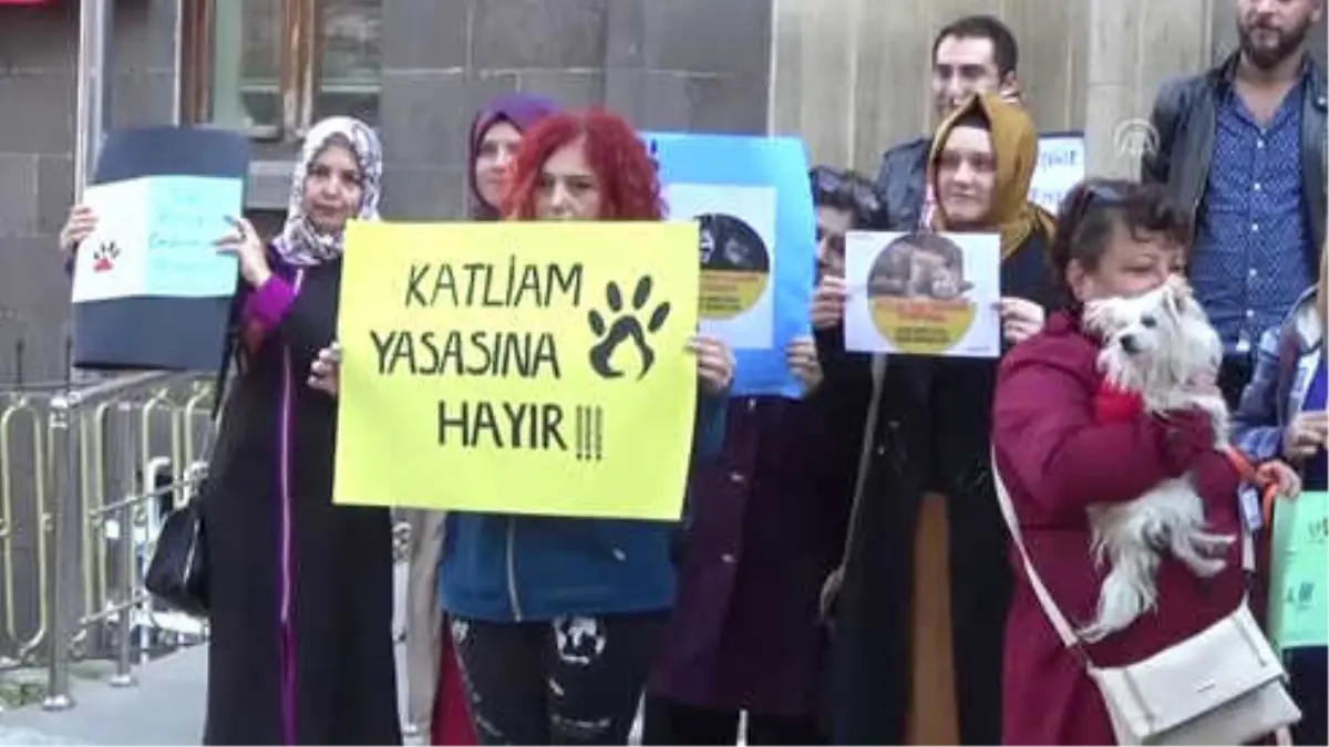 Hayvanlara Yönelik Suçlar TCK'ya Göre Cezalandırılsın'