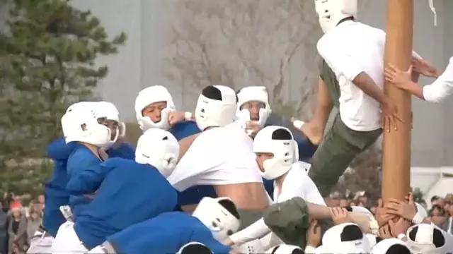 Japonya da Geleneksel "Direk Devirme" Yarışması