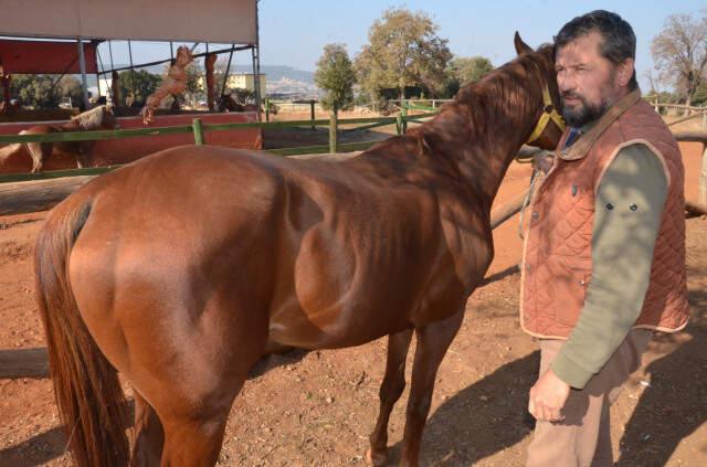 İşkenceye Uğrayan Atın Sahibi Konuştu: Eşim Dahil Hiçbir Kadına Aşık Olmadım, Bu Ata Aşığım