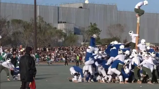 Japonya da Geleneksel Direk Devirme Yarışması: Botaoshi