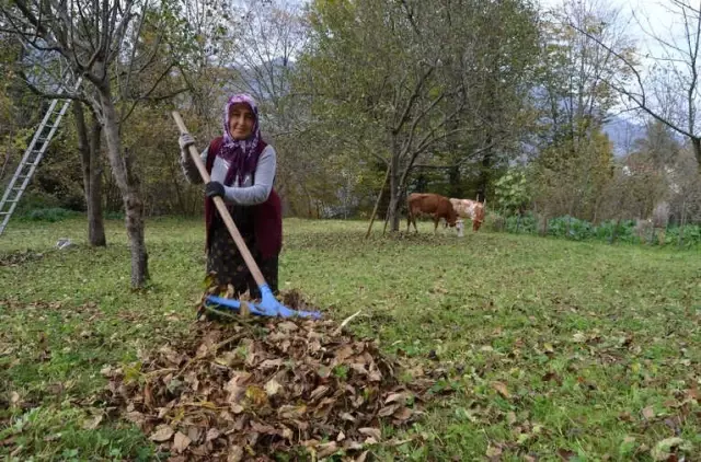 Tonya Süt Fabrikası'nın Kapanması En Çok Onları Etkiledi Tonya Süt Fabrikası'nın Kapanması En Çok Onları Etkiledi
