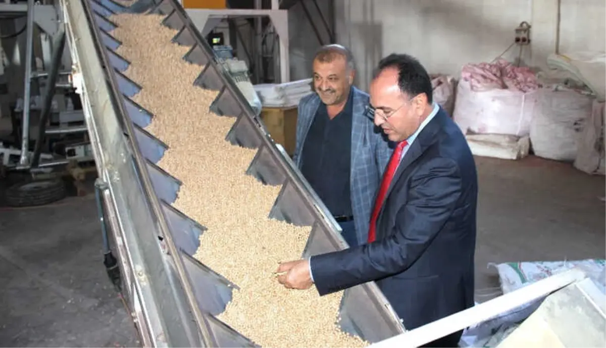 Yerli Tohumun Merkez Üssü Adıyaman'dan Yurt Dışına Tohum İhracatı