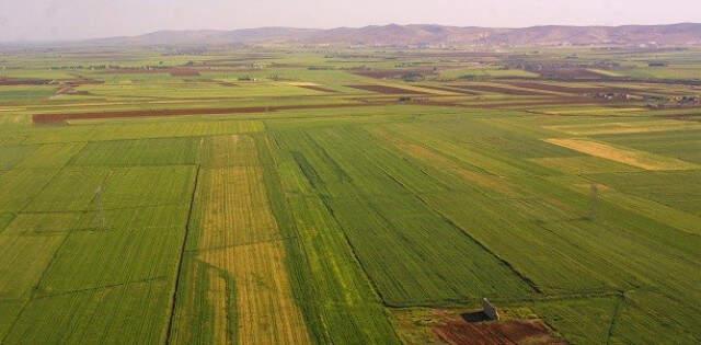 Hazineye Ait Tarım Arazileri İçin 90 Bin Başvuru Yapıldı