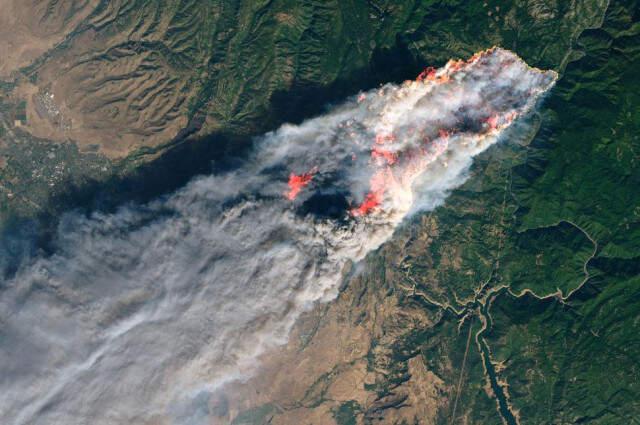 California'da Orman Yangınında Kayıp Sayısı 631'e Çıktı