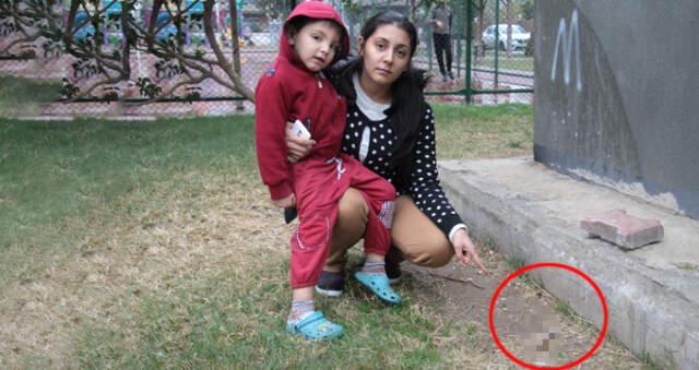 Çocuk Parkındaki Kan İzleri, Korkunç İşkencenin Kalıntılarını Ortaya Çıkardı