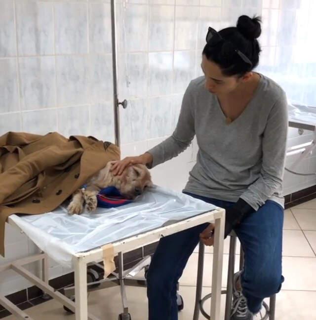 Oyuncu Başak Sayan'ı, Yıkan Ölüm Haberi!