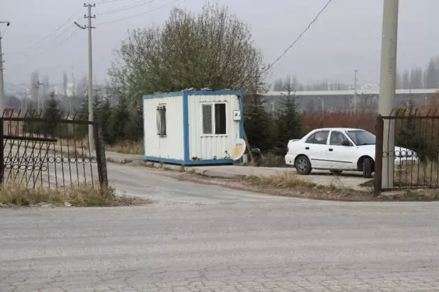 Canice Vurulan Talihsiz Köpek Öldü Canice Vurulan Talihsiz Köpek Öldü