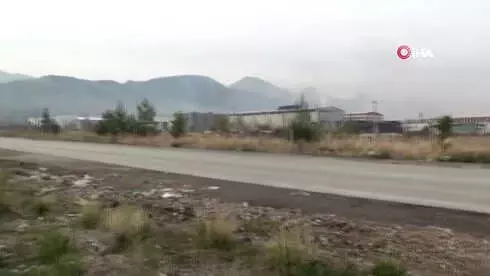 Canice Vurulan Talihsiz Köpek Yaşam Savaşını Kaybetti Canice Vurulan Talihsiz Köpek Yaşam Savaşını Kaybetti