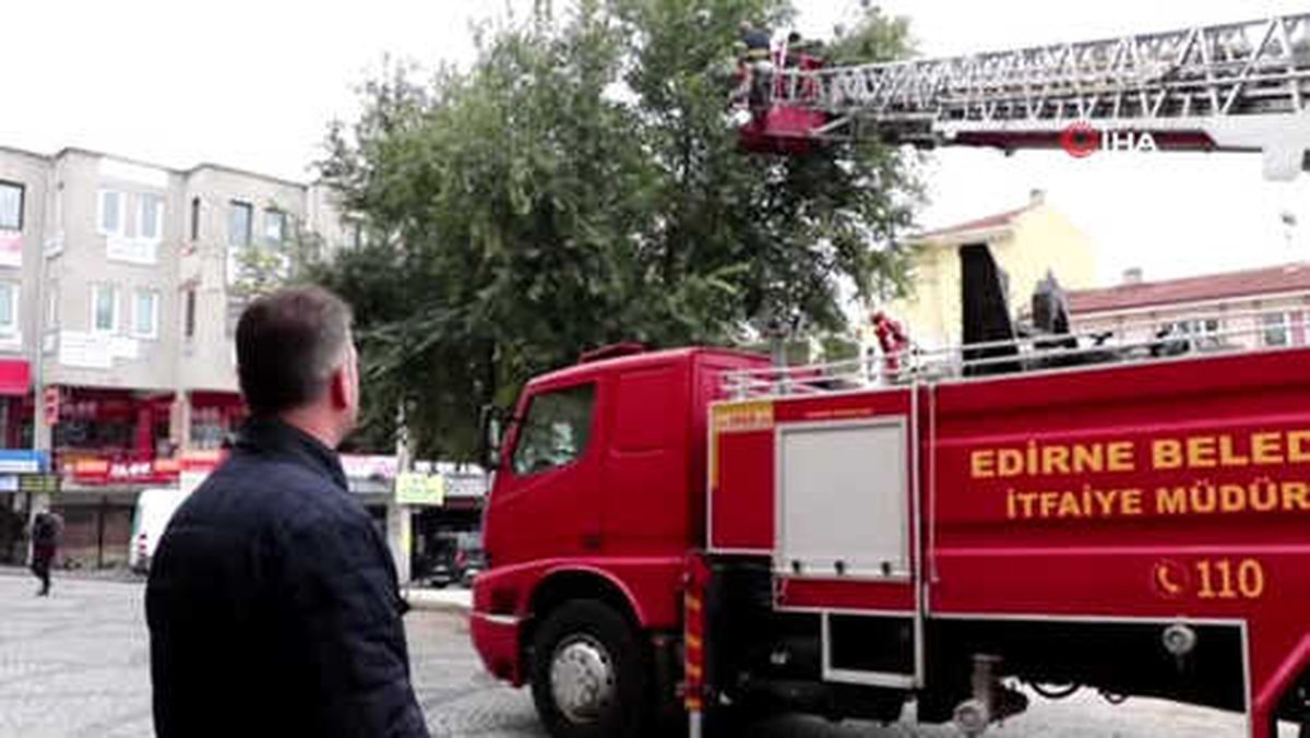 İlk Kez Sokağa Çıktı, Hayatının Şokunu Yaşadı.