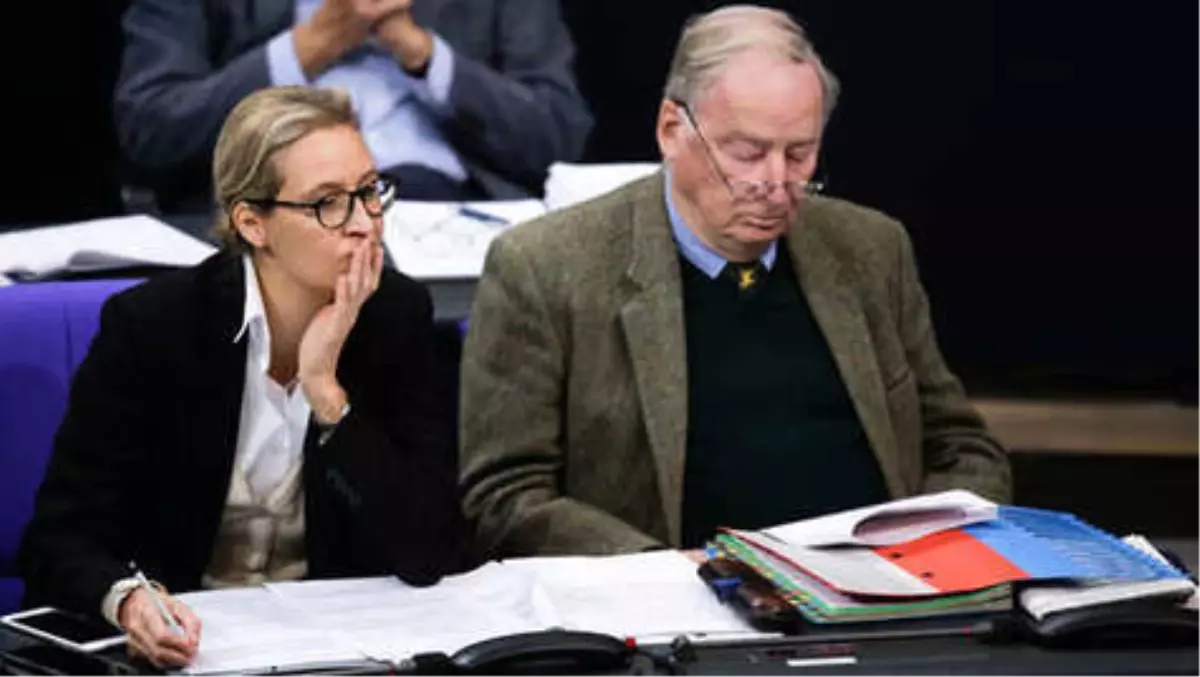 Afd Lideri Weidel Hakkında Soruşturma Açıldı