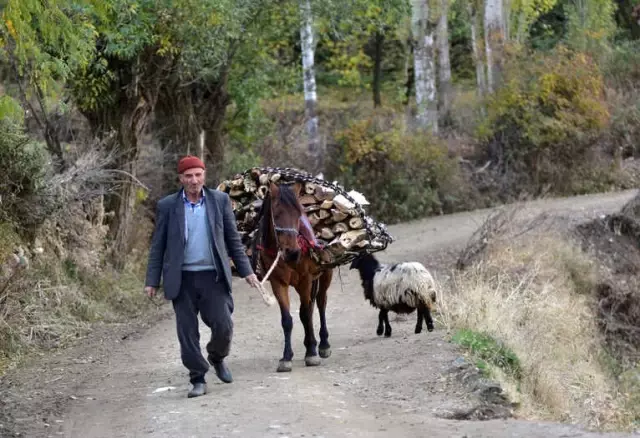 Hizan'ın Taş Evlerine Büyük İlgi Hizan'ın Taş Evlerine Büyük İlgi
