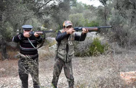 Domuz Sürüleri Seralara Zarar Verdi, Sürek Avı Başlatıldı Domuz Sürüleri Seralara Zarar Verdi, Sürek Avı Başlatıldı