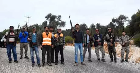 Domuz Sürüleri Seralara Zarar Verdi, Sürek Avı Başlatıldı Domuz Sürüleri Seralara Zarar Verdi, Sürek Avı Başlatıldı