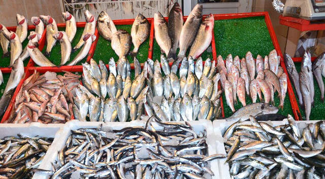 Hamsi Bollaştı, Balık Fiyatları Düştü