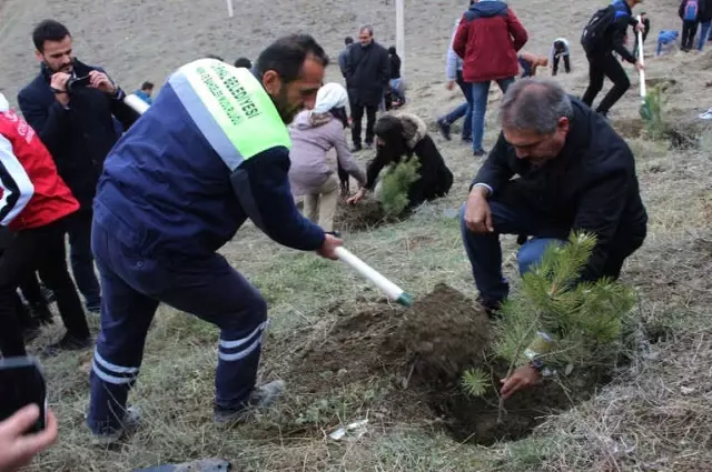 Öğretmenler Günü Dolayısıyla 1453 Fidan Toprakla Buluştu.