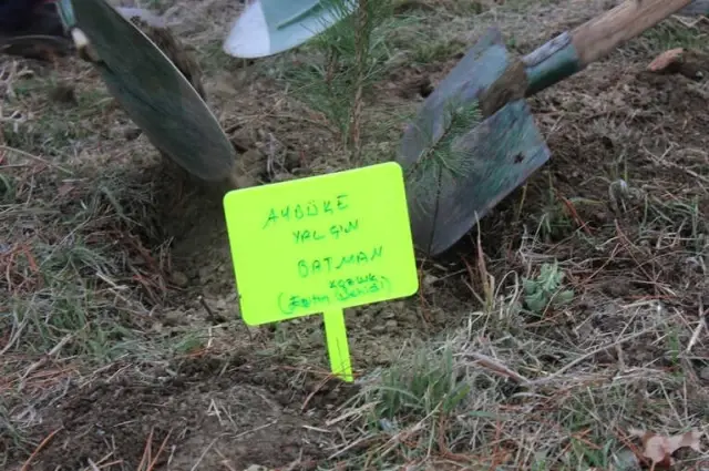 Öğretmenler Günü Dolayısıyla 1453 Fidan Toprakla Buluştu.