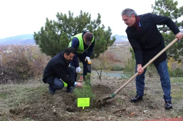 Öğretmenler Günü Dolayısıyla 1453 Fidan Toprakla Buluştu.