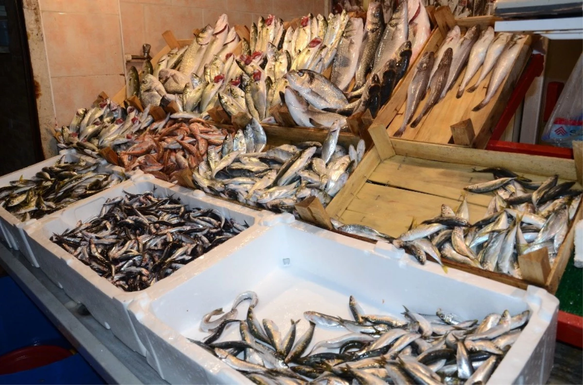 Balıkesir'de Balık, Kırmızı Et Fiyatları ile Yarışıyor Haberler