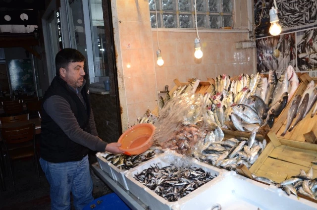 Balıkesir'de Balık, Kırmızı Et Fiyatları ile Yarışıyor Haberler