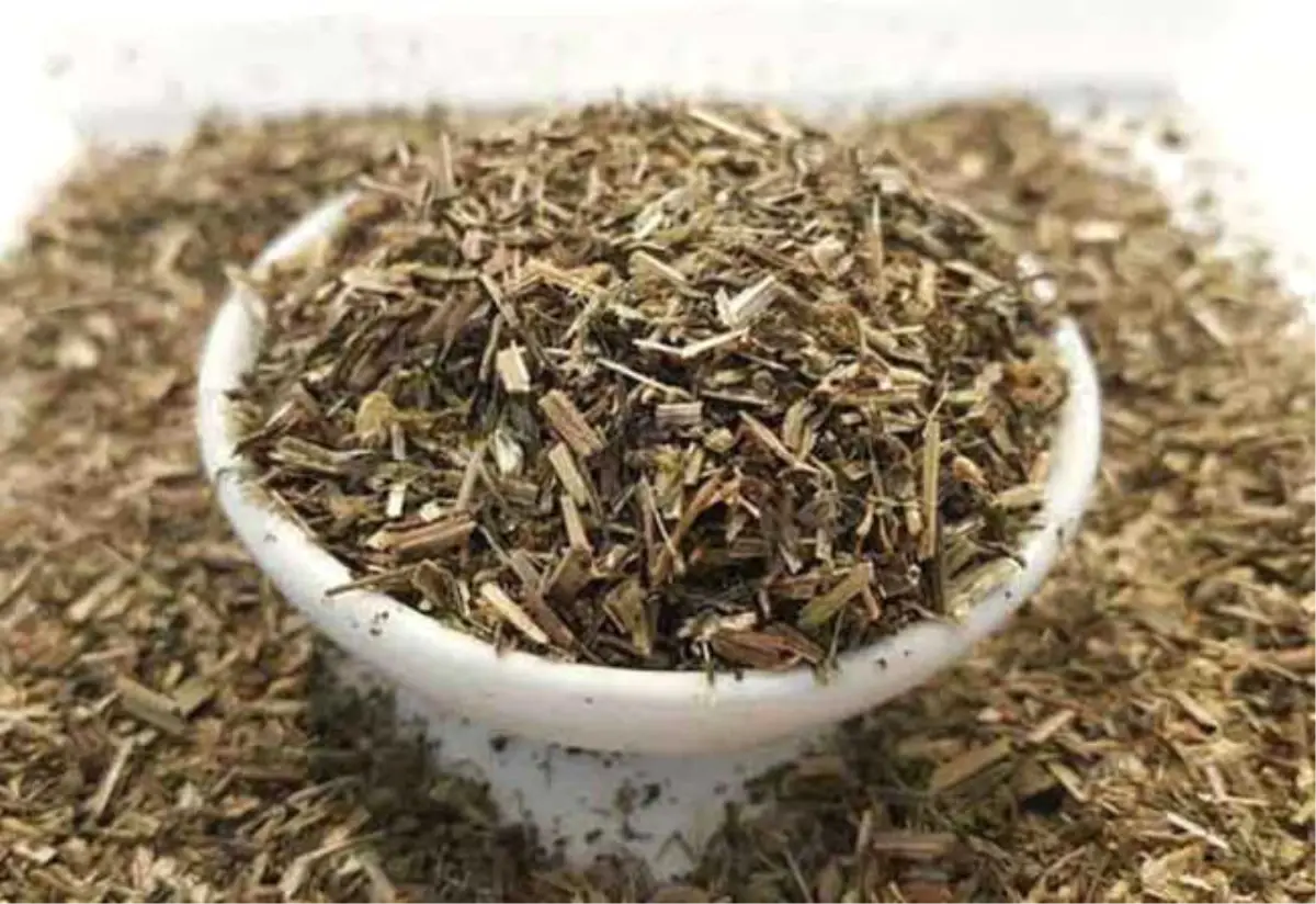 Yoğurt Otu Nedir? Faydaları Nelerdir?