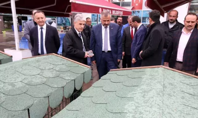 Kediler Dubleks Evlerine Kavuştu Kediler Dubleks Evlerine Kavuştu