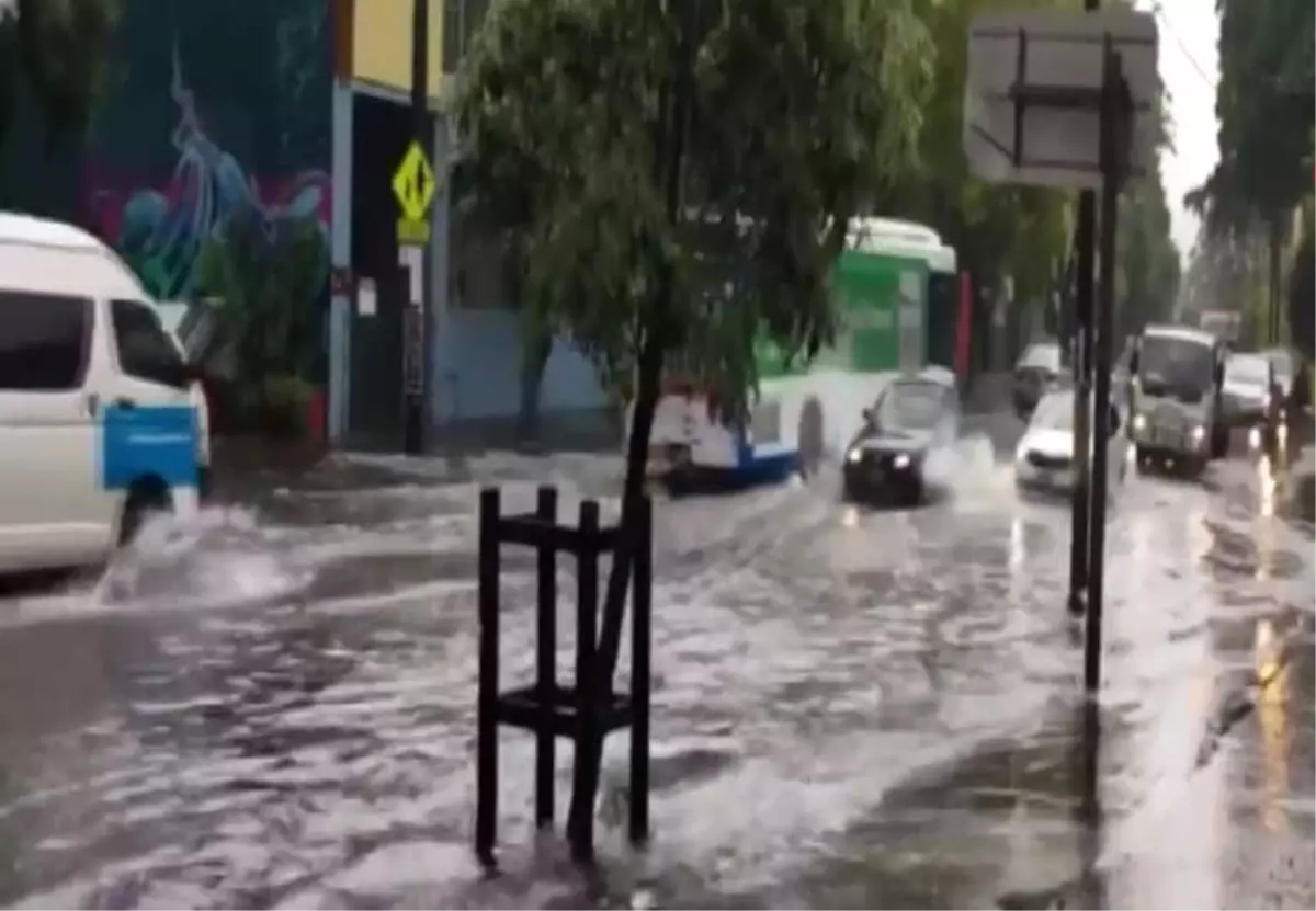 Sidney Sele Teslim: 1 Ölü