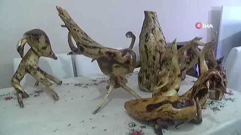 Ağaç Köklerini Sanata Dönüştürüyor Ağaç Köklerini Sanata Dönüştürüyor