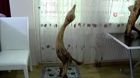 Ağaç Köklerini Sanata Dönüştürüyor Ağaç Köklerini Sanata Dönüştürüyor