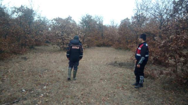 Domuzdan Korkunca Ormanlık Alanda Geceyi Ağaç Üzerinde Geçirdi