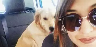 Köpek Marley kimde kalacak davasında karar çıkmadı Köpek Marley kimde kalacak davasında karar çıkmadı