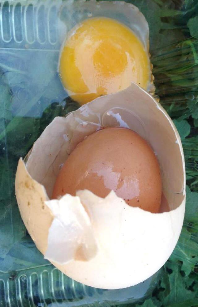Erzurumlu Vatandaşın Kırdığı Yumurtanın İçinden Yumurta Çıktı