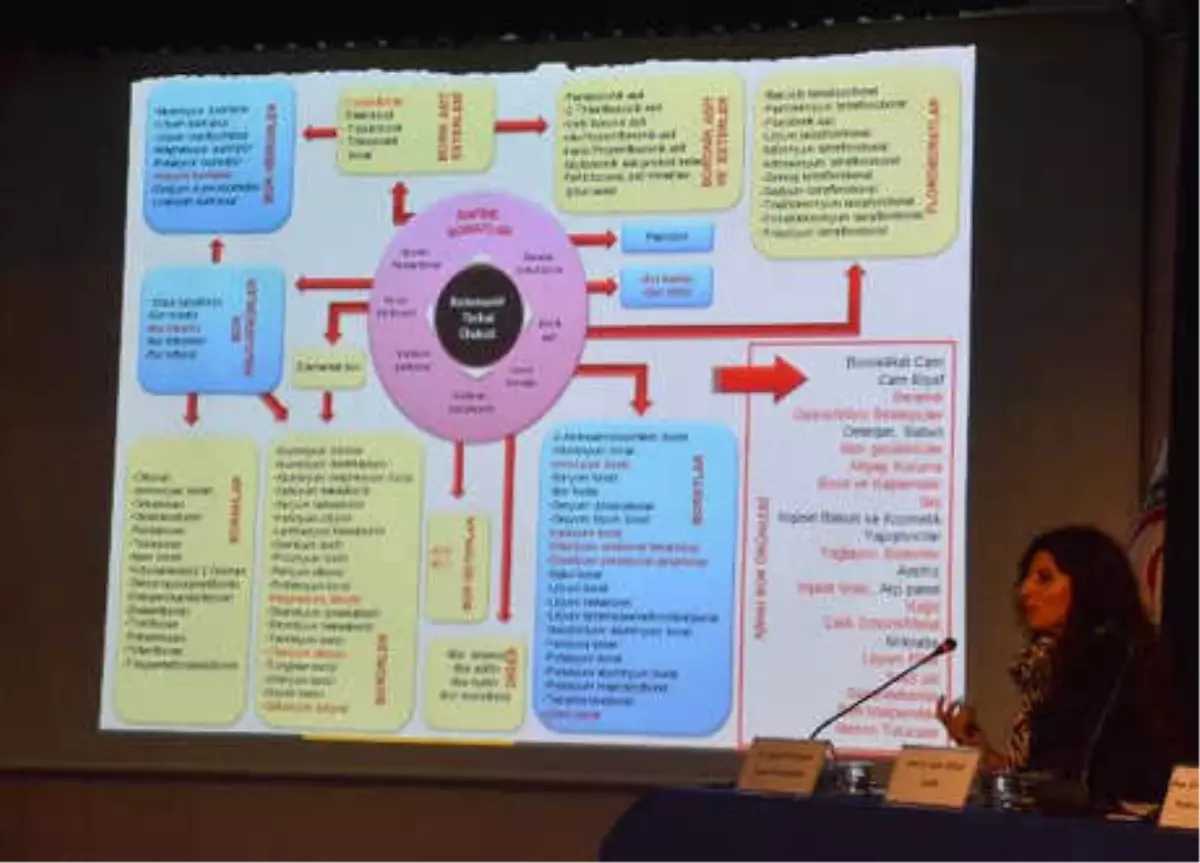Bor Madeni'nin Türkiye ve Dünya Potansiyeli' Çomü'de Konuşuldu