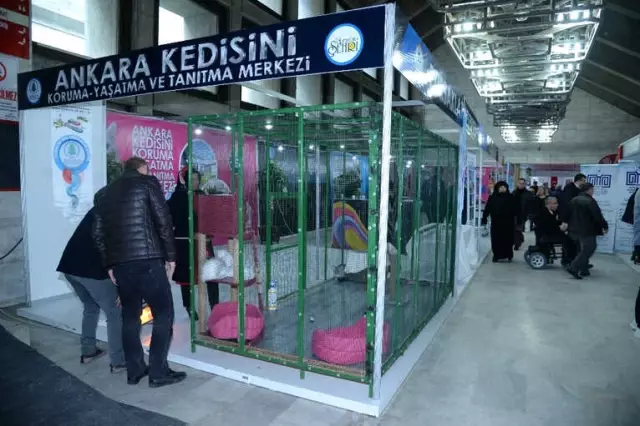 Özel Çocuklar Özel Festivalde