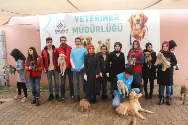 Gençlerin 'İyilik Ağacı' Büyüyor