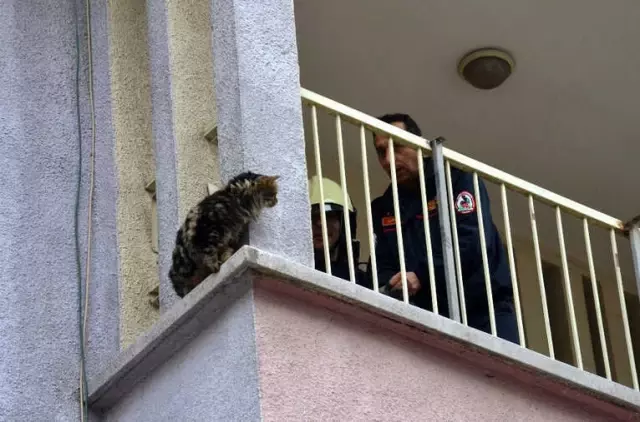 Kuş Avlayayım Derken Balkonda Mahsur Kaldı