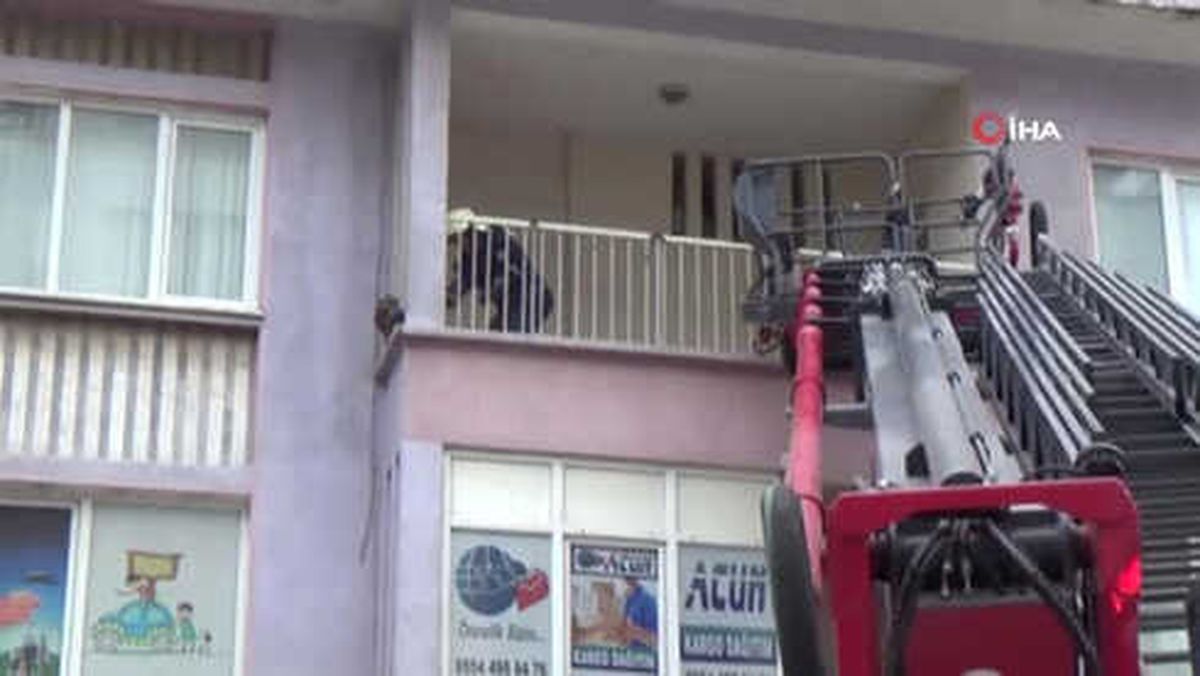 Kuş Avlayayım Derken Balkonda Mahsur Kaldı