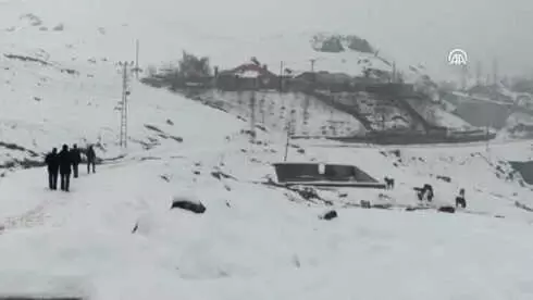 Doğada Aç Kalan Atlara Belediye Ekipleri Yem Verdi