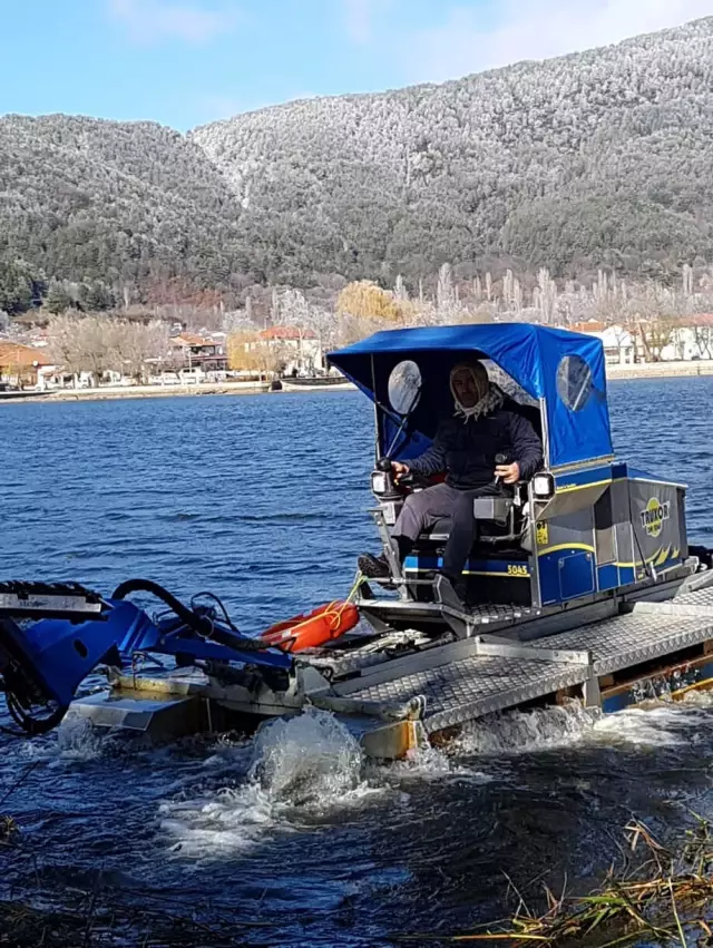 Gölcük Gölü'ndeki Sazlıklar Temizleniyor