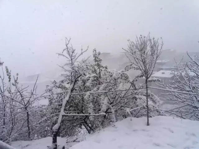 Hakkari'de Kar Yağışı
