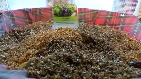 Şifalı Bitkilerin Yer Aldığı Müze Ecza Deposu Gibi...tıbbi Aromatik Bitkiler Müzesi'nde 280 Bitki... Şifalı Bitkilerin Yer Aldığı Müze Ecza Deposu Gibi...tıbbi Aromatik Bitkiler Müzesi'nde 280 Bitki...
