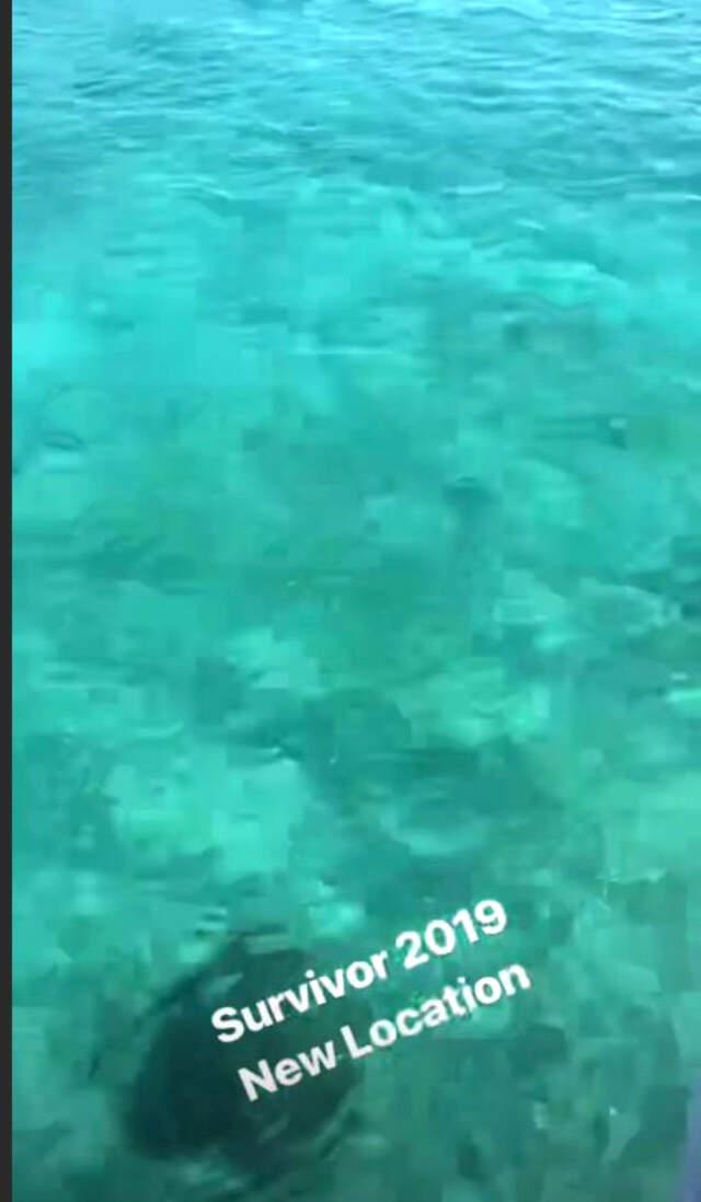 Acun Ilıcalı, Survivor 2019'un Yayın Tarihini Açıkladı