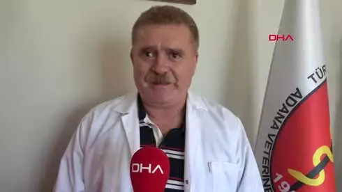 Adana 'Kedi-Köpek Tüyünden Korkmayın'