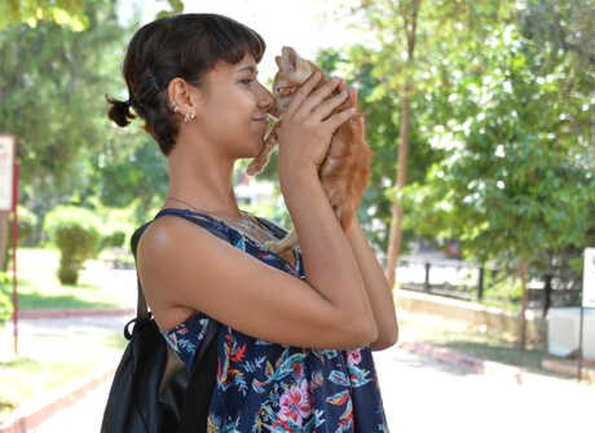 Kedi-köpek Tüyünden Korkmayın'