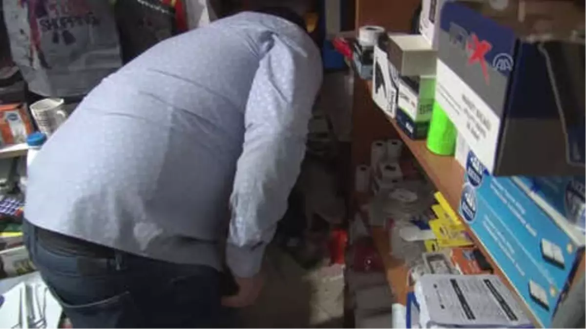 İş Yerinde Yavrulayan Kedi ve Yavrularını Sahiplendi