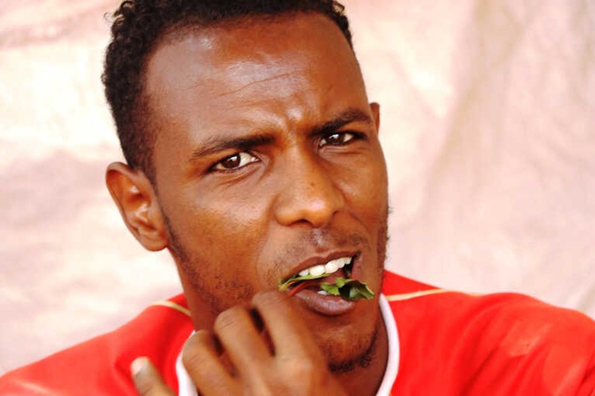 Somali'nin Yeşil Zehri: Gat