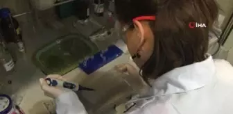 Turkiye De Ilk Yerli Kanser Ilaci Bogazici Universitesi Nde Uretilecek Haberler