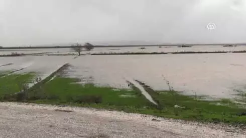 Yağmur Sularının Altında Kalan Tarlasını Kayıkla Gezdi Yağmur Sularının Altında Kalan Tarlasını Kayıkla Gezdi
